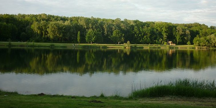 Auwaldsee